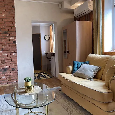 Rustic City Center Apartment